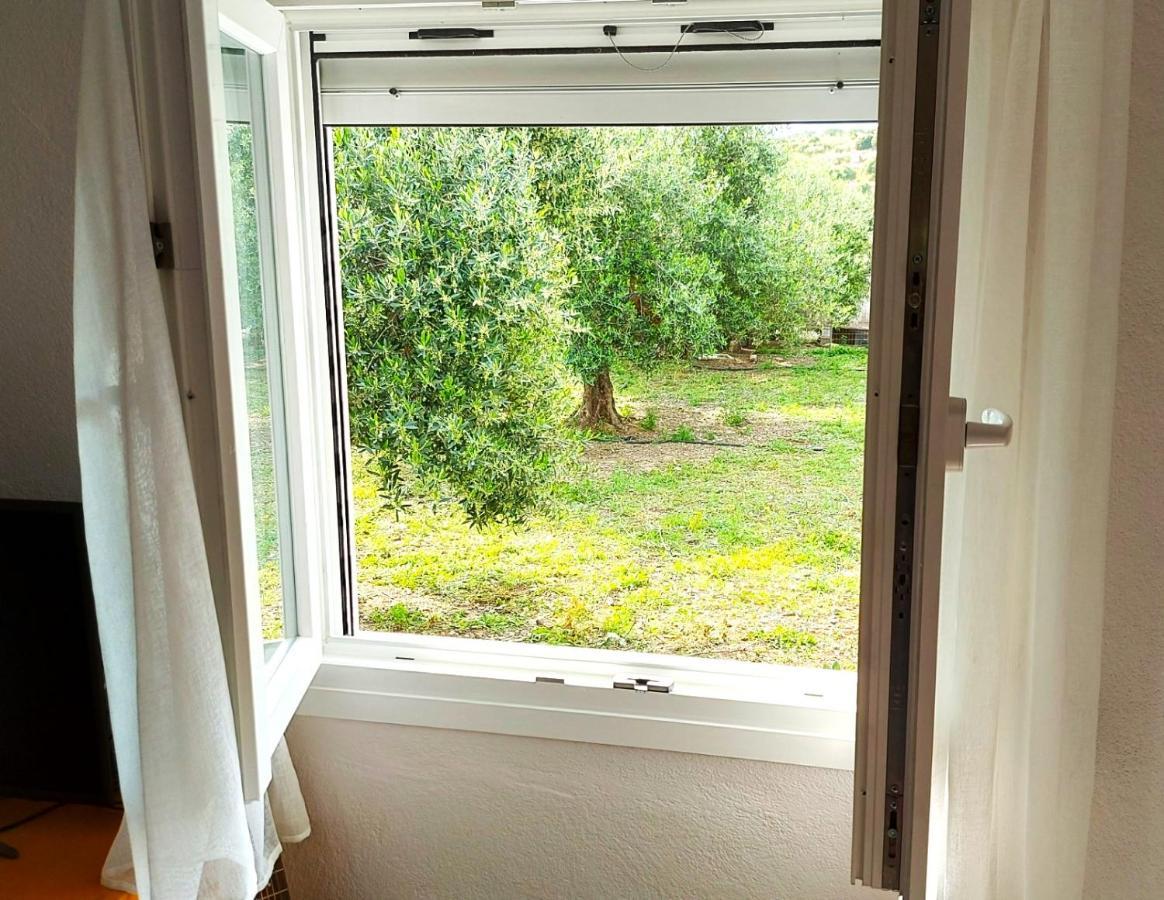 Agritourism Cottage Near Sitia Εξωτερικό φωτογραφία