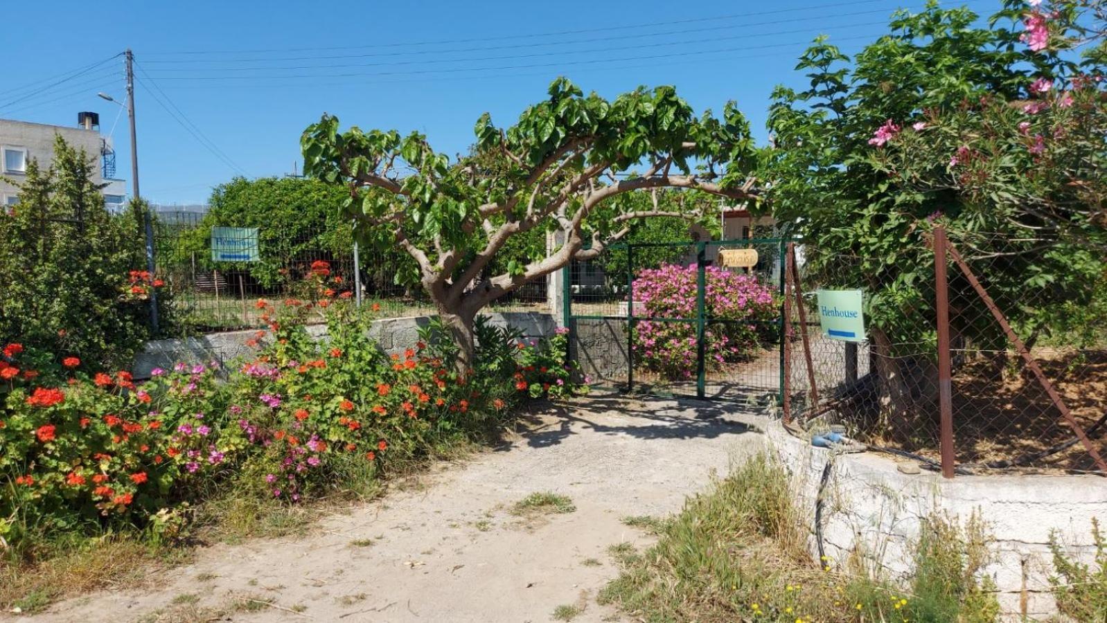 Agritourism Cottage Near Sitia Εξωτερικό φωτογραφία