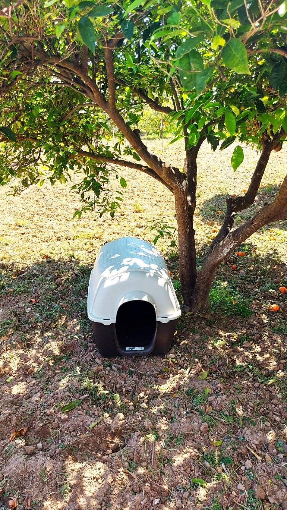 Agritourism Cottage Near Sitia Εξωτερικό φωτογραφία